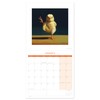 2025 Yoga Chick Square Calendar