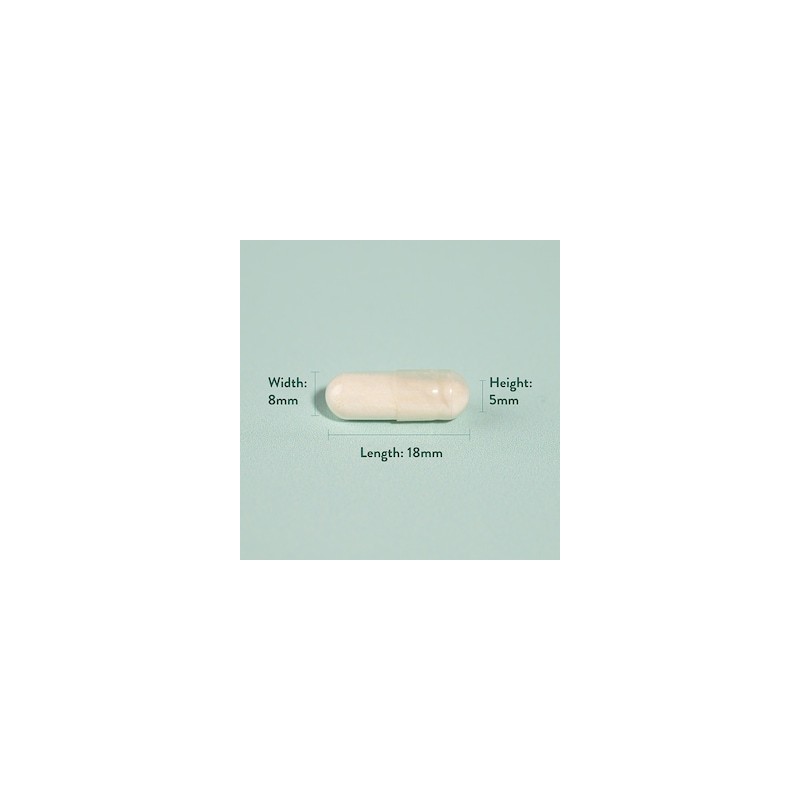 Holland & Barrett Live Friendly Bacteria with Acidophilus 120 Capsules