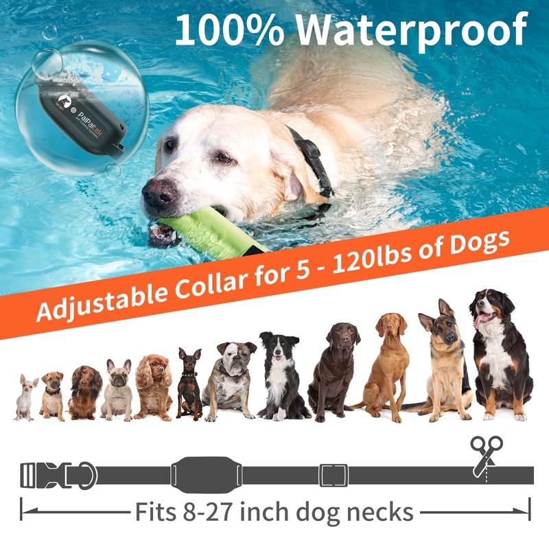 PaiPaitek Vibrating Collar No Shock for 3 Dogs Training, 3300ft