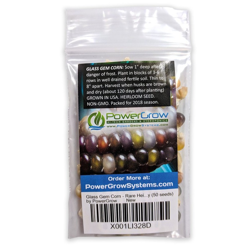 Glass Gem Corn Seeds (200 Seeds) - USA Grown by