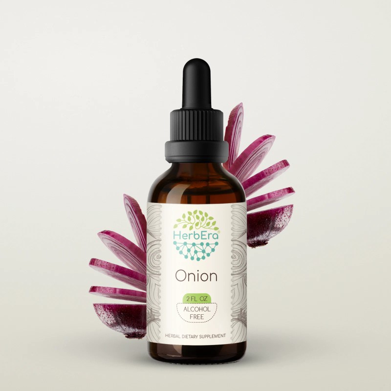 HerbEra Onion Alcohol-FREE Tincture, Organic Onion (Allium Cepa) - 2