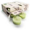 Tahoe Pine Tealight Candles Bulk Pack (24 Green Highly Scented