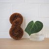 Turtle Baby Cleaning Washing Scrubber More Than Brown 10028172 