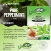 Dalgety Pure Peppermint Herbal Infusion 6x40g Cartons (6 Pack) 100%