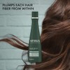 Nexxus Diametress Volume Shampoo for Fine and Flat Hair 13.5