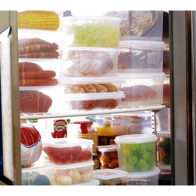 Iwasaki Industry Iwasaki Food Storage Container Clear 1.6L (M) Natural