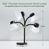 Desk Lamps for Home Office,Small LED Reading Lamp,5000K Eye-Care Desk