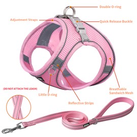 AIITLE Small Harness for Puppy with A Leash - Summer Dog Vest Harness with Super Breathable Mesh, Reflective No-Pull Pet Harness for Outdoor Walking, Running for Small Dogs, Cats Pure Pink XXS