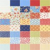 Fruit Cocktail Layer Cake®, 42-10" Precut Fabric Quilt Squares by