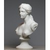 Bust Head Goddess Aphrodite of Milos Venus Alabaster Statue Sculpture