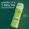 Ban Invisible Roll-on Antiperspirant Deodorant for Women and Men, 24-hour