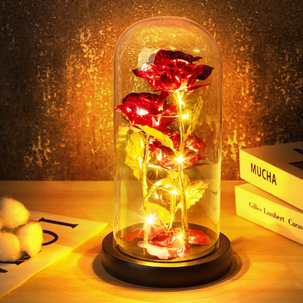 Revivoer Eternal Roses Flowers Decoration in Glass, LED Light in Glass Dome, Roses Gift for Mum, Women, Wedding Anniversary, Valentine's Day, Birthday, Artificial Flowers with Eternal Durability