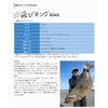 JUMPRIZE Flying King 105HS Hookless Model #201 Lens Candy Glow