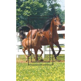 SwitchStix Mare & Foal Horses SwitchStix Single Rocker