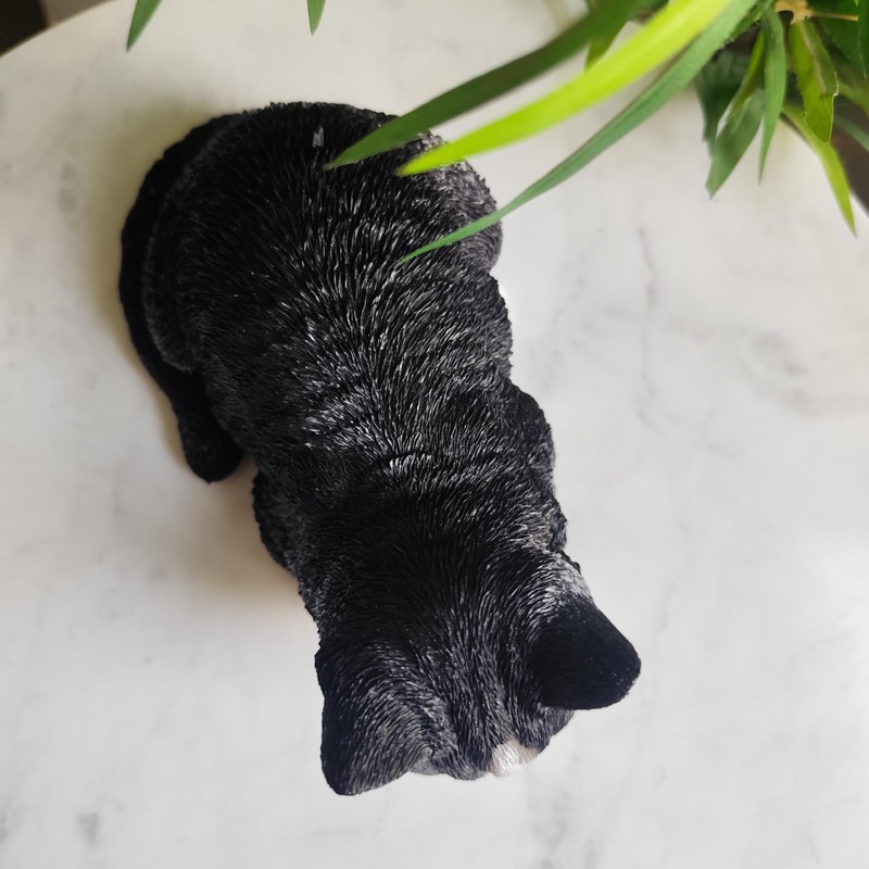 Vivid Arts Dreaming Cat Black & White Ornament – Peaceful