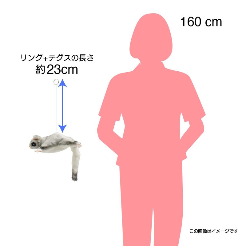 BH4692 HANSA Monga 35