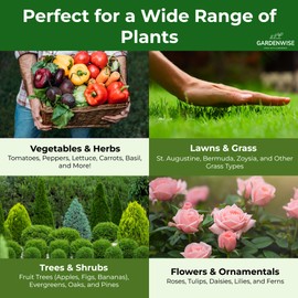 GARDENWISE Gardenwise 13-13-13 Slow Release Granular Fertilizer C All Purpose Plant Food 13 13 13 for Outdoor Grass, Vegetables, Roses, Flowers, Shrubs, Trees. Lawns, Gardens, Potted Plants (5 quarts)