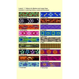 LupinePet Originals 1" Turtle Reef 12-17" Containment Collar Strap for Medium Dogs