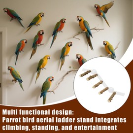 Shower Perch for Parrots - Playstand for Cockatiel - Suction Cup Drop Resistant Parrot Cage Perch for Indoors and Outdoors