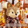 Benross Fox Straw Décor/Mr Fox or Mrs Fox Autumn Decoration/Handcrafted