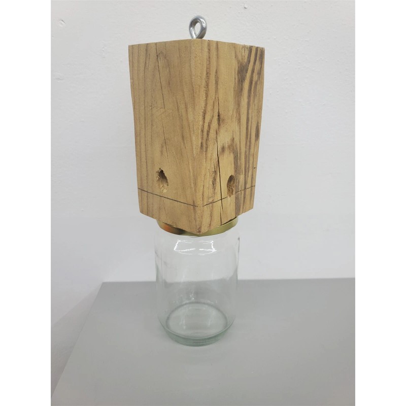 Homemade ⭐️⭐️⭐️⭐️⭐️ One Homemade Hanging Trap for Flying Insects, Bees