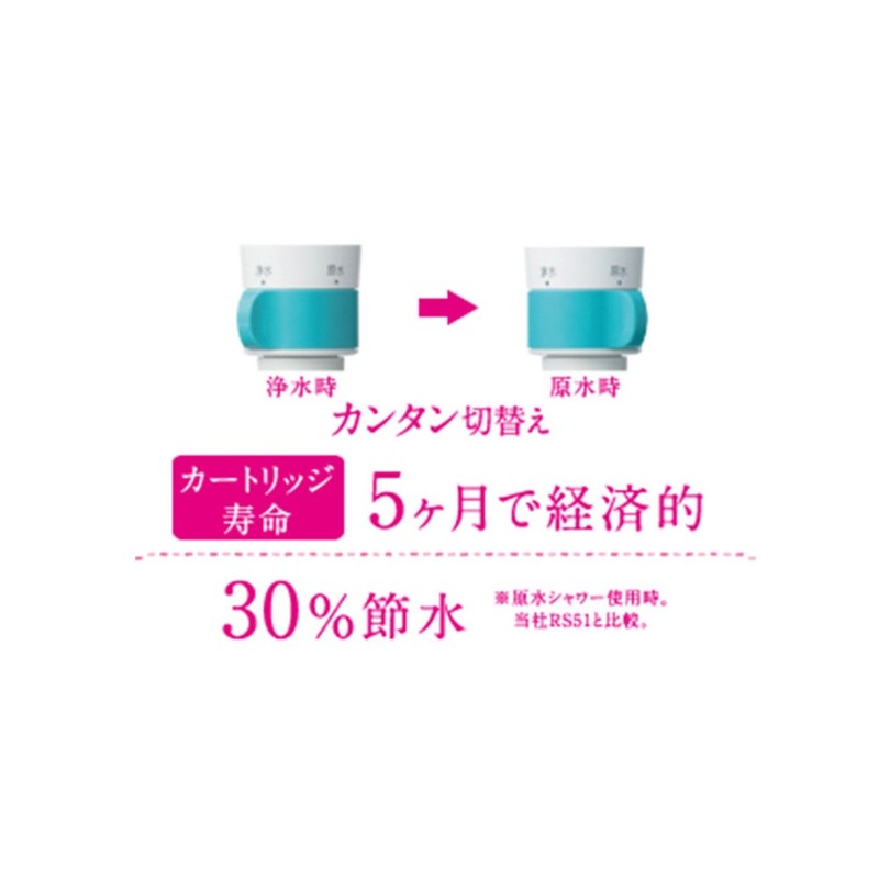 Toray torebi-no Water Shower toresyawa- Shower Head RS52 – BG,