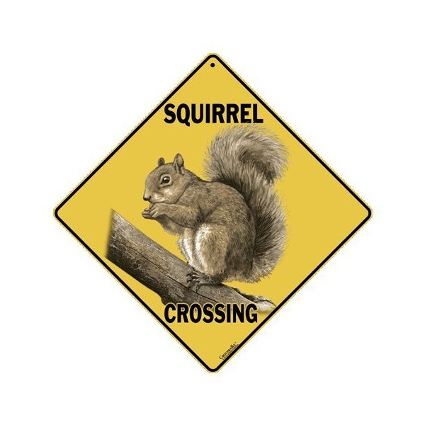 CROSSWALKS Squirrel Crossing 12" X 12" Aluminum Sign (X315)