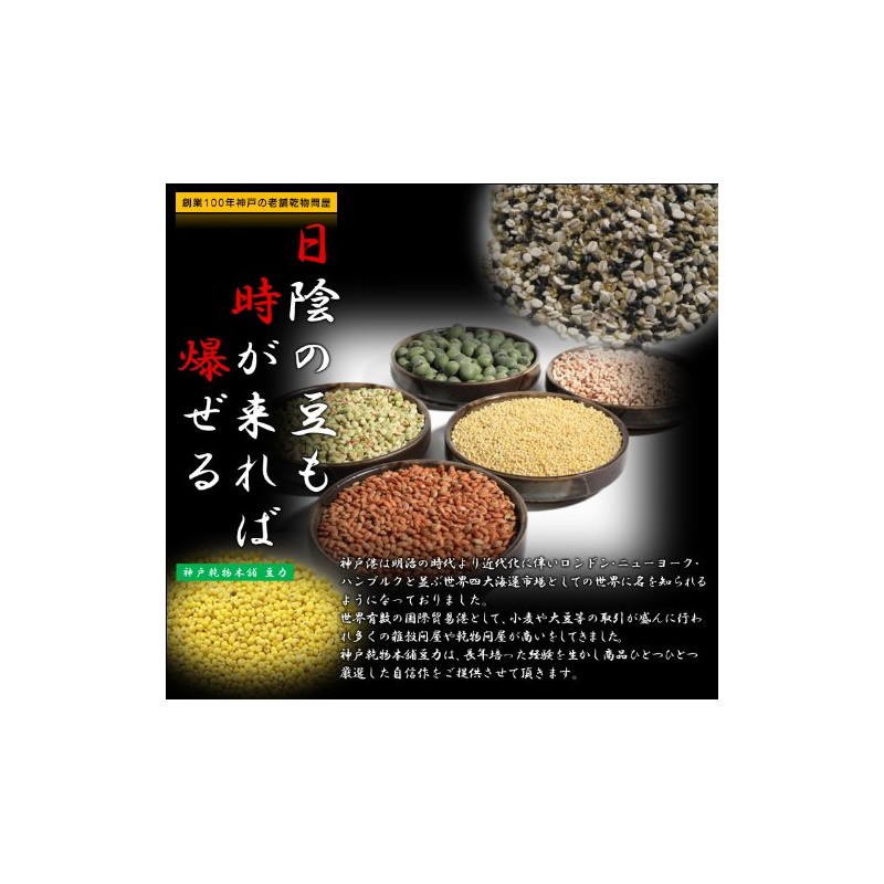 Bean Power Specialty Japanese Mochibi 17.6 oz (500 g)