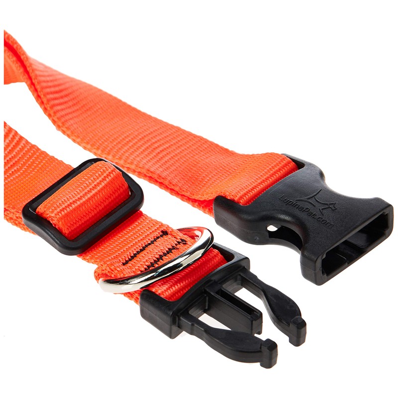 LupinePet Basics 1" Blaze Orange 16-28" Adjustable Collar for Large
