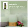 doTERRA - Basil Essential Oil - 15 mL