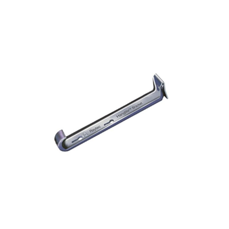 5 inch Raytec Hangtite Hidden Gutter Hanger Clip Style (10