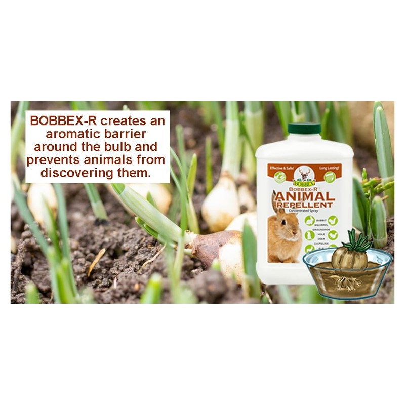 Concentrated Animal Repellent - Bobbex | Rabbit, Squirrel, and Chipmunk