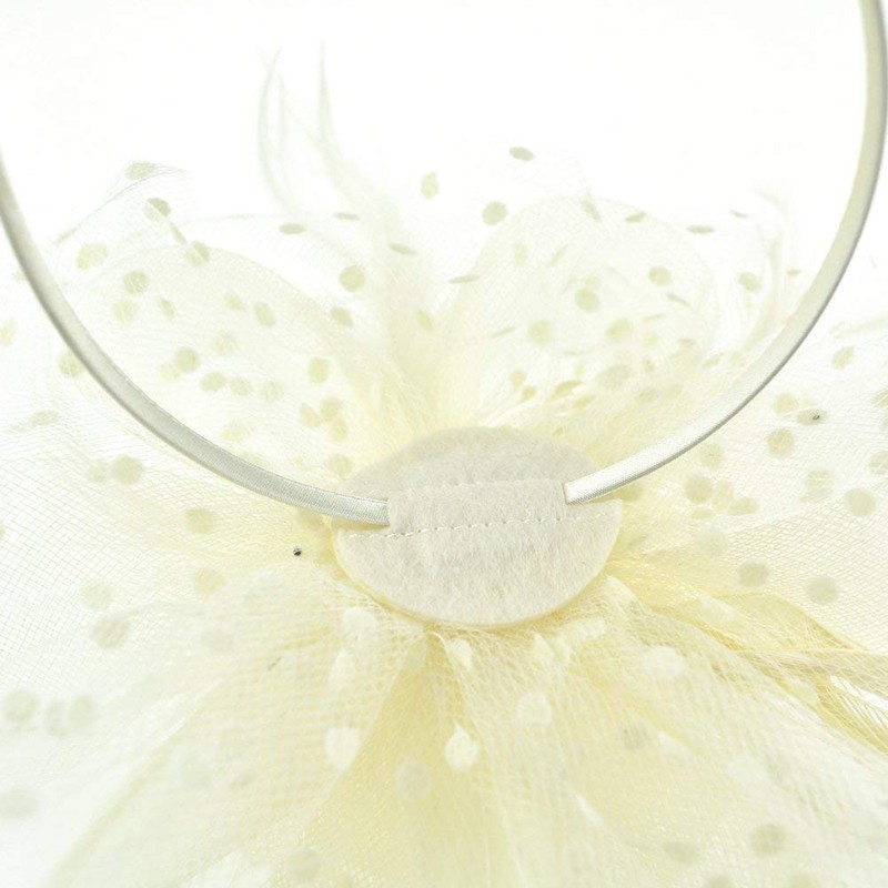 DRESHOW Fascinator Hat for Women, Pillbox Hat with Veil, Headband