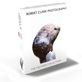 MyPuzzle English Pouter (Puffer Pigeon) - Premium 500 Piece Jigsaw Puzzle for Adults