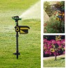 AngelcityCC Solar Sprinkler Garden Solar Motion Activated Animal Sensor Outdoor