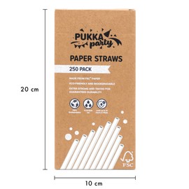 PUKKA party Paper Straws – Pack of 250 Eco-Friendly, Biodegradable Drinking Straws – Extra Strong Durability, Lasts up to 24 Hours in Water – Counter Display Unit with Tear-Away Top – White, 19.5cm