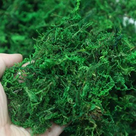 OMJMYY 300g Sphagnum Moos Spagnummoos für Pflanzen Orchideen Terrarium Blumenerde Sphagnum Moss Premium Naturprodukt Torfmoos für Reptilien Lebendes Geckos Schlange Schildkröten Frösche