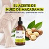 Hebbe - Aceite de Nuez de Macadamia 100% Puro, Hidratante