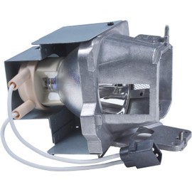 RANETLIO BL-FU245A SP.7FM01GC01 Replacement Lamp Bulb with Housing Compatible with OPTOMA GT1080HDR HD39HDR X412 W412 EH205ST EH412 EH412ST GT1080H Projector Lamp