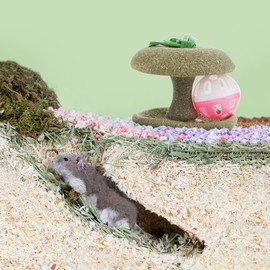 DQITJ Natural Hamster Chew Toy with Bell Guinea Pig Apple Molar Bowl Timothy Grass Grinding Treats for Hamster Guinea Pig Chinchilla Small Rodents