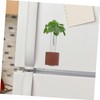 Totority Test Tube Planter Cute Flower Vase for Office Kitchen