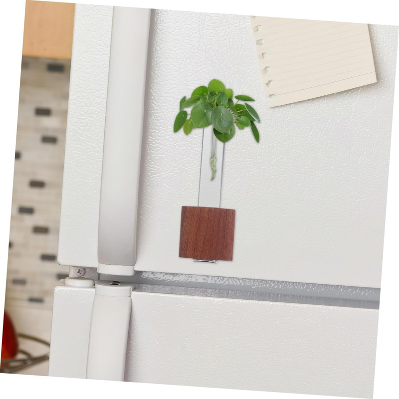 Totority Test Tube Planter Cute Flower Vase for Office Kitchen