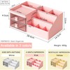HWPRATO Mini Drawer Organizers Accessories with Compartments and Drawers, Plastic