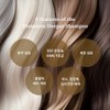 Le Differ Premium Differ Shampoo / 르디퍼 프리미엄 디퍼 샴푸