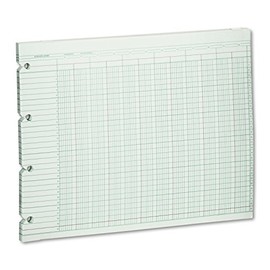 Wilson Jones G1020 Accounting Sheets, 20 Column, 9-1/4 x 11-7/8, 100 Loose Sheets/Pack, Green