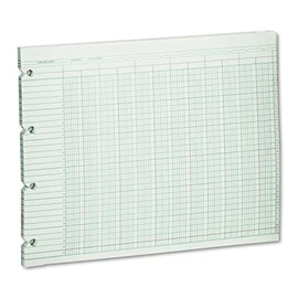 Wilson Jones G1020 Accounting Sheets, 20 Column, 9-1/4 x 11-7/8, 100 Loose Sheets/Pack, Green