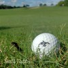 Ball Tatt - Orca Black Golf Ball Stamp, Golf Ball