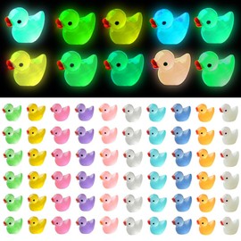 Dream Aurora 60 Pack Mini Ducks,Tiny Little Ducks Figures,Mini Resin Ducks Luminous Small Ducks Miniature Ducks for Fairy Garden Aquarium Landscape Dollhouse Ornament Diy Craft