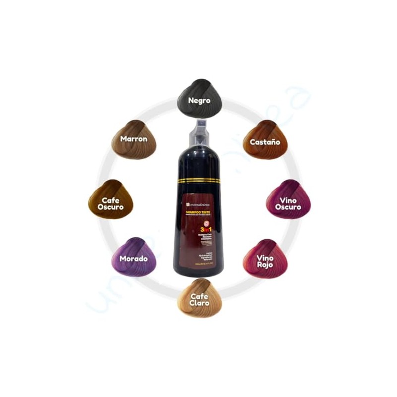 Black Instant Hair Color Shampoo for Gray Hair, 3 In