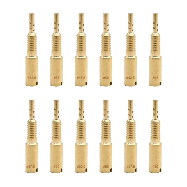 Saihisday Pilot Slow Jets 12Pcs Carburetor Pilot Slow Jets Kit